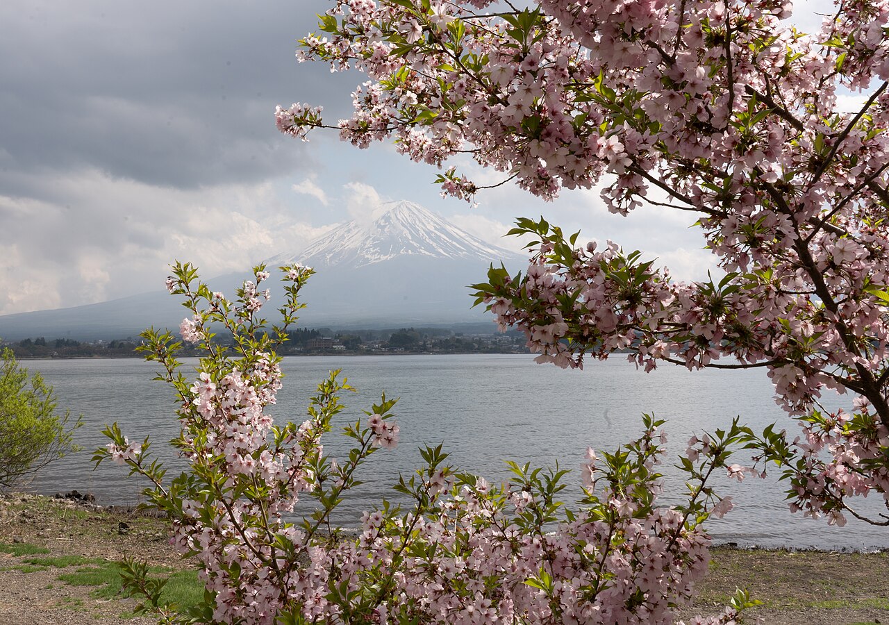Yaponiya