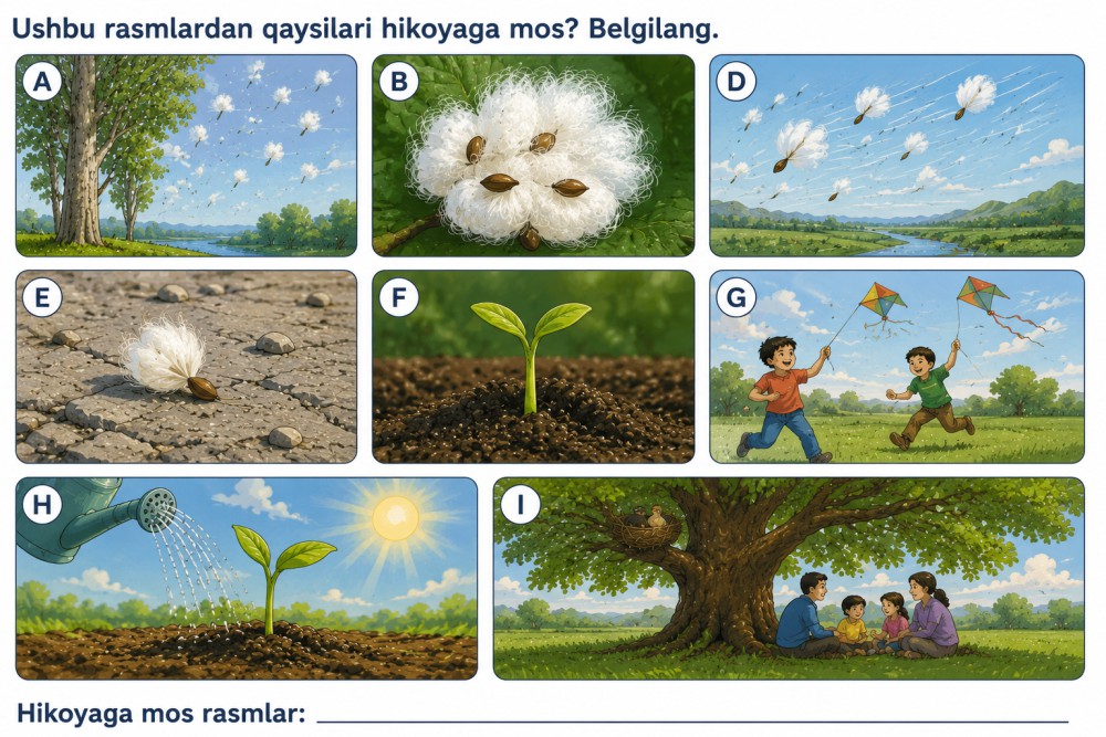 Bir dona urug'ning sayohati — rasmli topshiriq